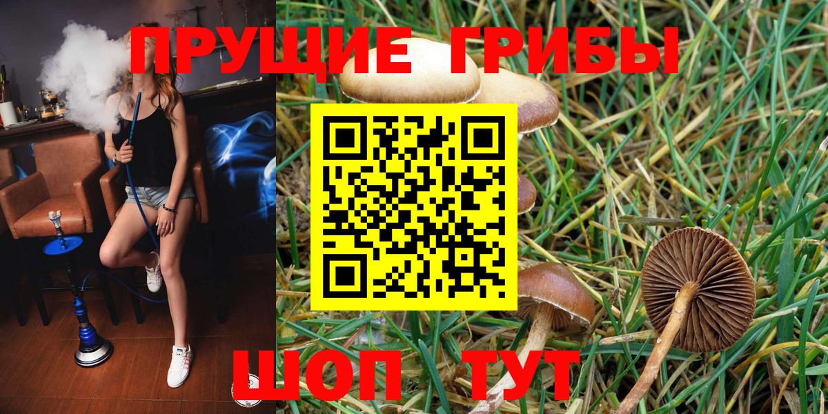 Галлюциногенные грибы Psilocybine cubensis Людиново