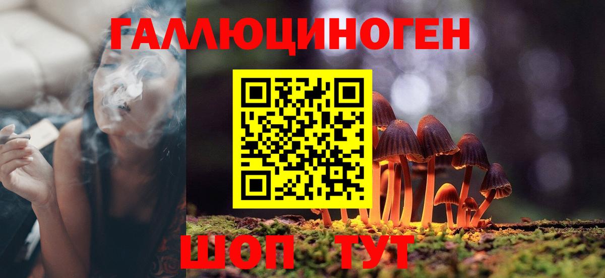 даркнет сайт  Вход с VPN  Людиново  Псилоцибиновые грибы MAGIC MUSHROOMS 